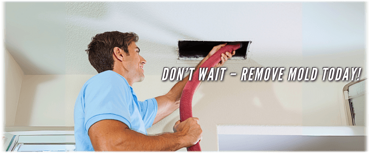 Air Duct Mold Removal in Long Island NY